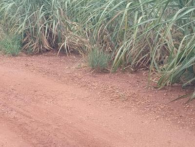 Fazenda para Venda, em Limeira, bairro 