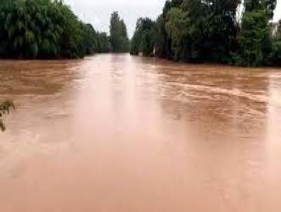 Stio para Venda, em Porto Ferreira, bairro 