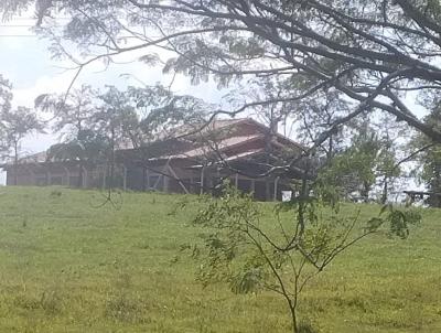 Stio para Venda, em Santa Rita do Passa Quatro, bairro 