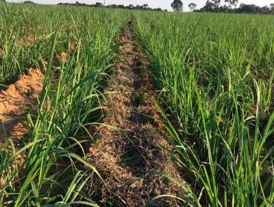 Fazenda para Venda, em Rio Claro, bairro 