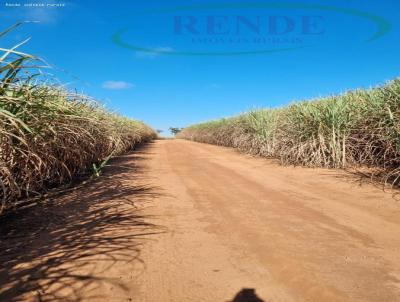 Stio para Venda, em Tamba, bairro 
