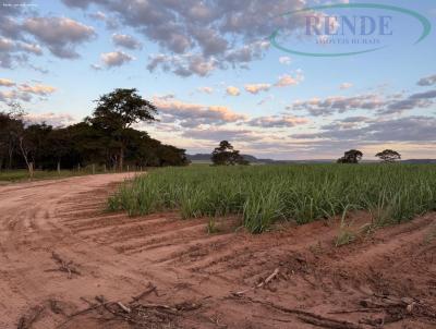 Fazenda para Venda, em Ibat, bairro 