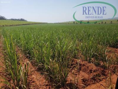 Stio para Venda, em Pirassununga, bairro 