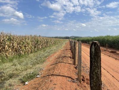 Stio para Venda, em Tamba, bairro 