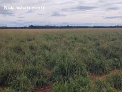 Stio para Venda, em Santa Cruz da Conceio, bairro 