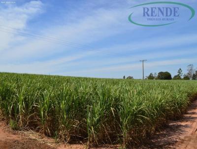 Stio para Venda, em Pirassununga, bairro 