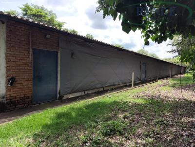 Stio para Venda, em So Carlos, bairro 