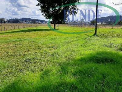 Stio para Venda, em Campinas, bairro 
