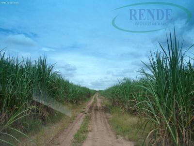 Fazenda para Venda, em Santa Cruz das Palmeiras, bairro 