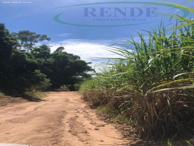 Stio para Venda, em Santa Cruz das Palmeiras, bairro 