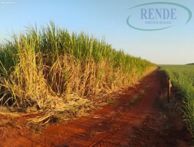 Stio para Venda, em Guariba, bairro 