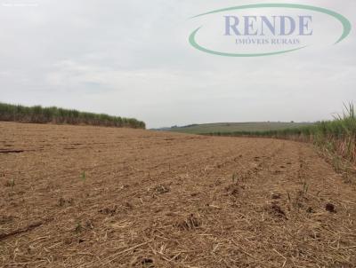 Fazenda para Venda, em Batatais, bairro 