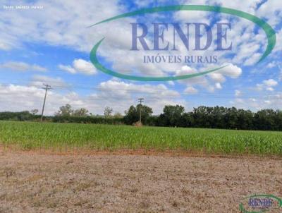 Stio para Venda, em Santa Rita do Passa Quatro, bairro 