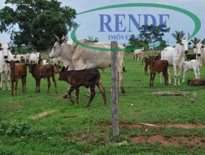 Fazenda para Venda, em Mogi Mirim, bairro 