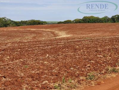 Stio para Venda, em Ribeiro Bonito, bairro 
