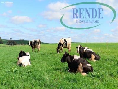 Fazenda para Venda, em Pirassununga, bairro 