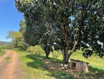 Fazenda para Venda, em Ribeir�o Bonito, bairro 