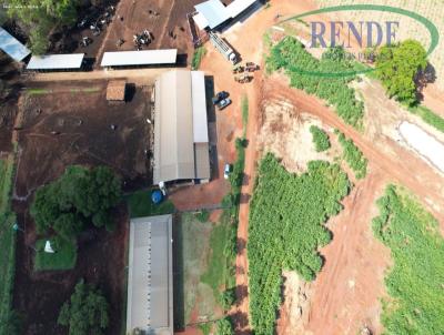 S�tio para Venda, em Casa Branca, bairro 