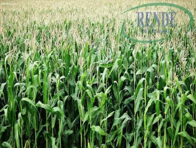 Fazenda para Venda, em Pirassununga, bairro 