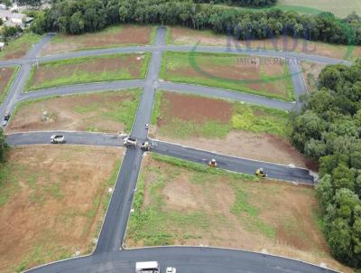�rea para Loteamento para Venda, em Cachoeira Paulista, bairro , 5 dormit�rios, 1 banheiro, 4 su�tes