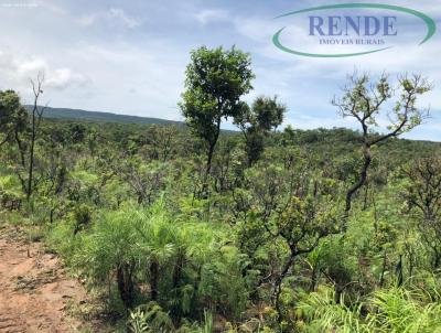 Fazenda para Venda, em Ros�rio Oeste, bairro 