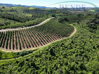 Fazenda para Venda, em Po�os de Caldas, bairro 