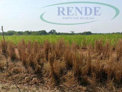 Fazenda para Venda, em Araras, bairro 