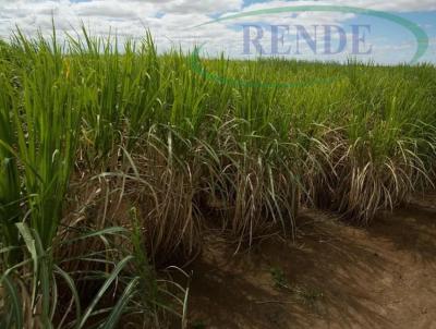 Fazenda para Venda, em C�ssia dos Coqueiros, bairro 