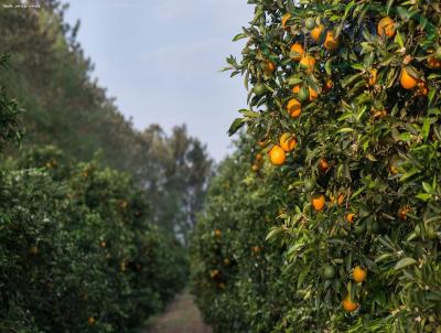 Fazenda para Venda, em Piracicaba, bairro 